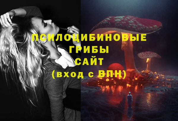 эйфоретик Вяземский